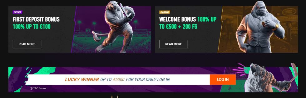 Betinia Casino bonuses 